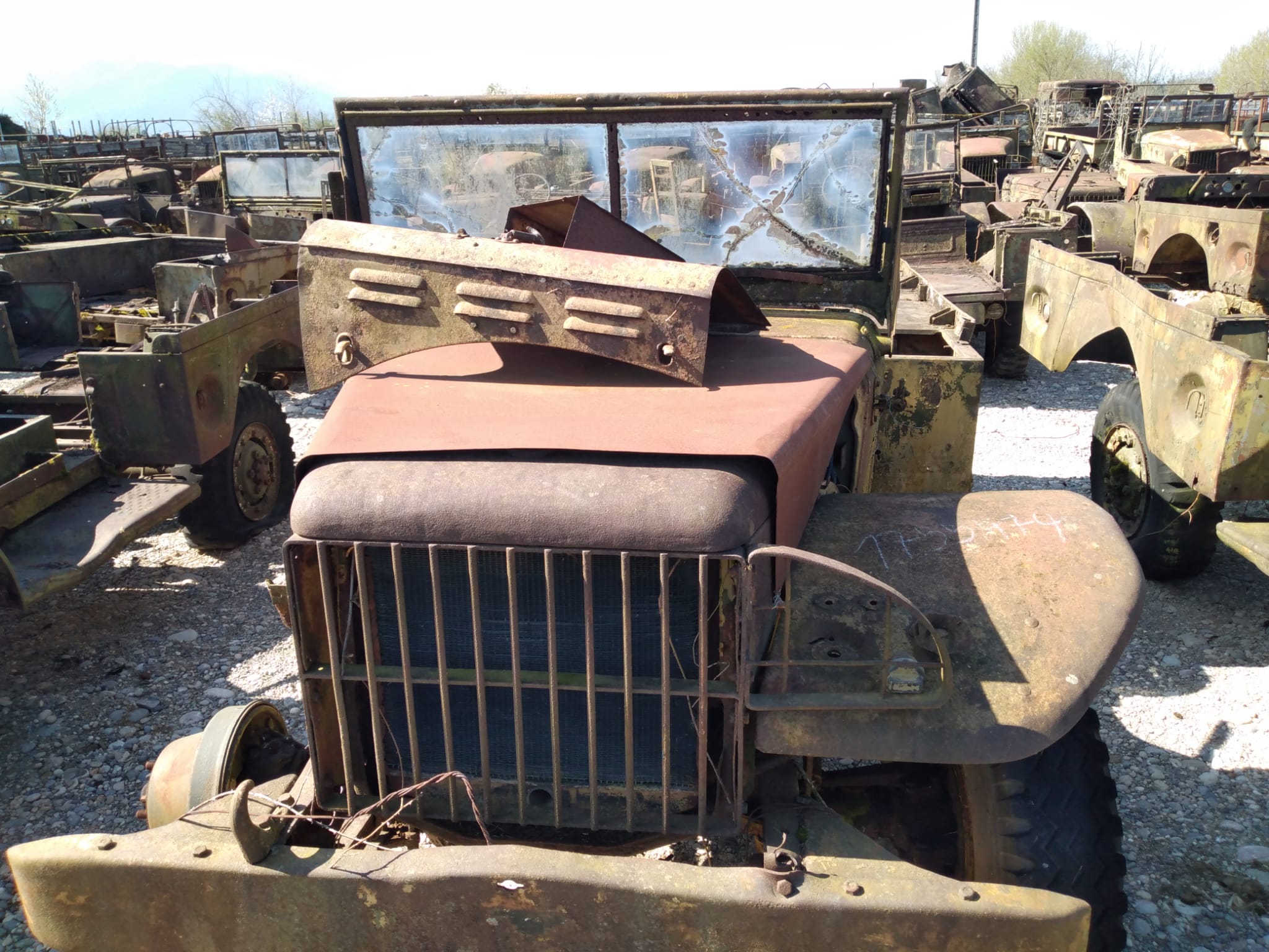 DODGE WC 51